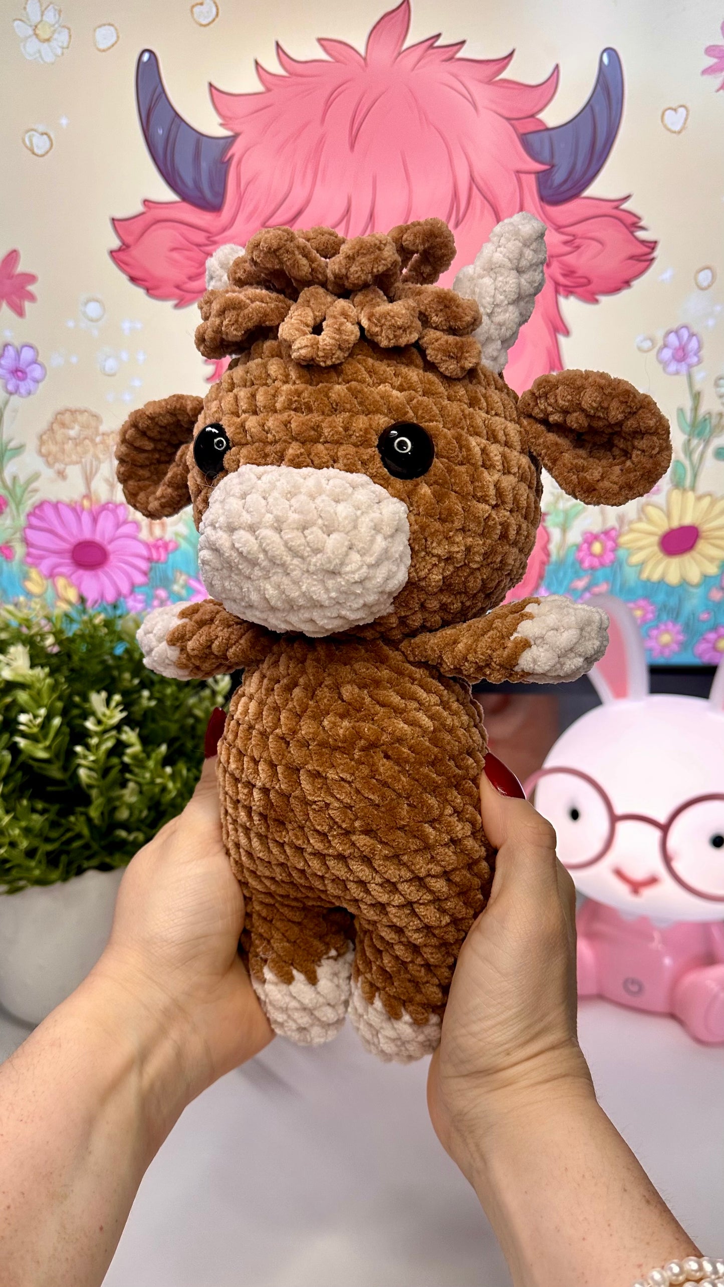 Highland cow 🐮