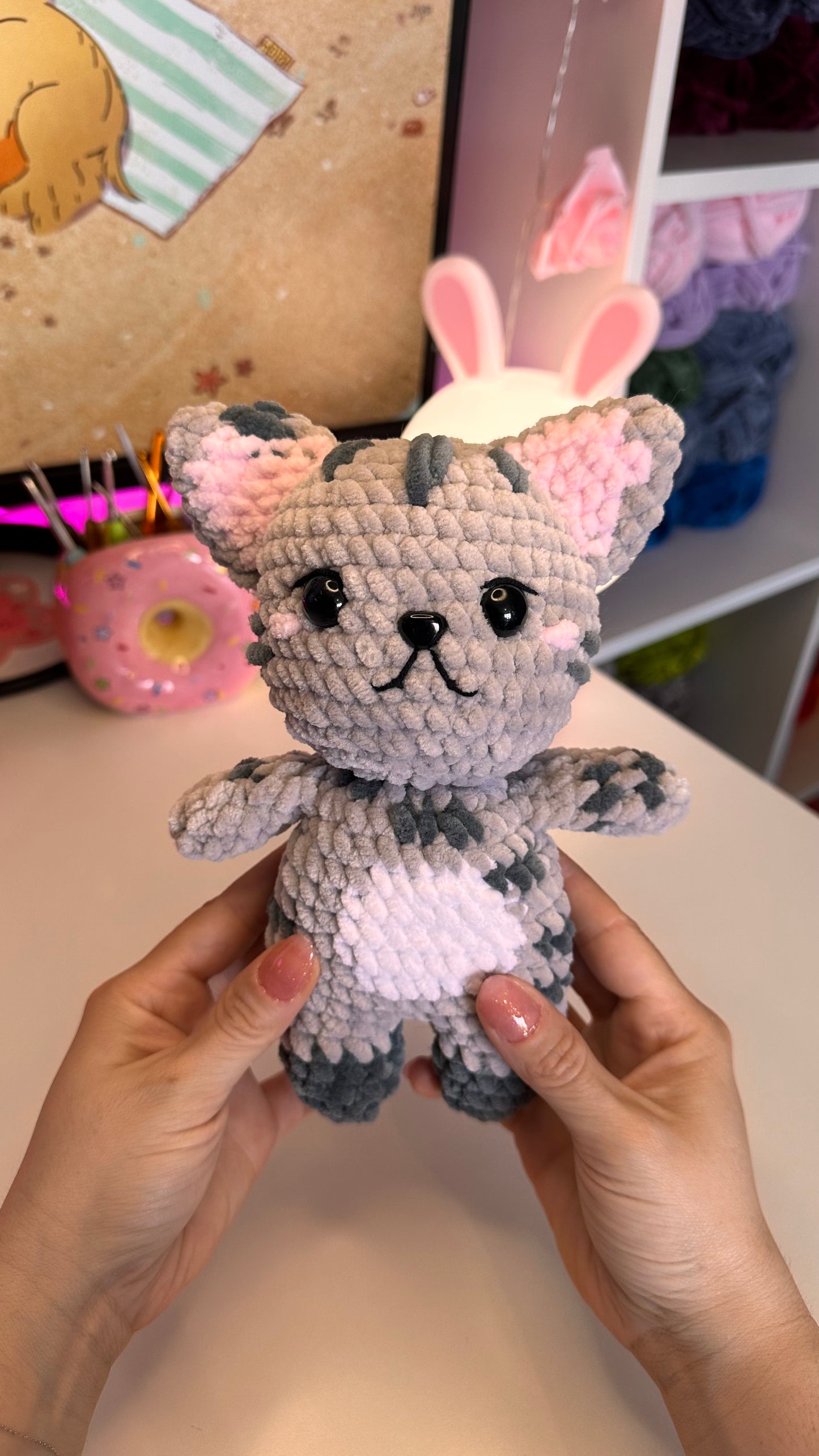 Chat rayé gris