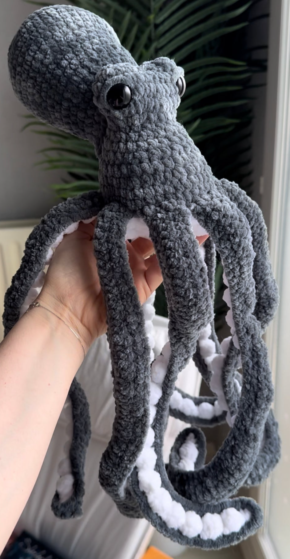 Octopus
