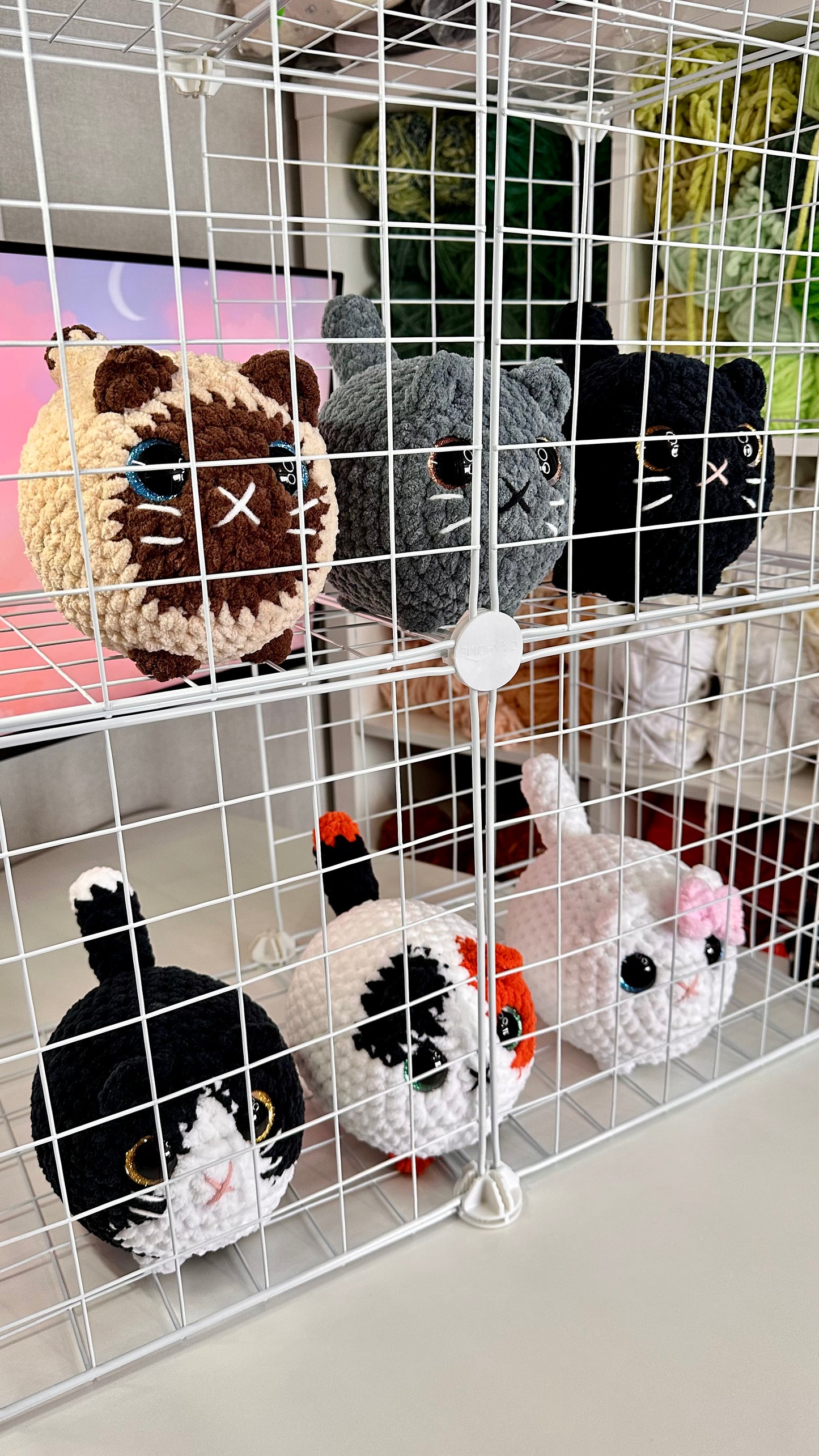 Les chats du refuge