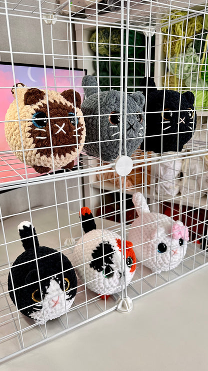 Les chats du refuge