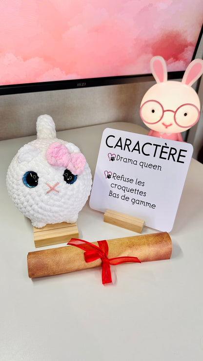 Les chats du refuge