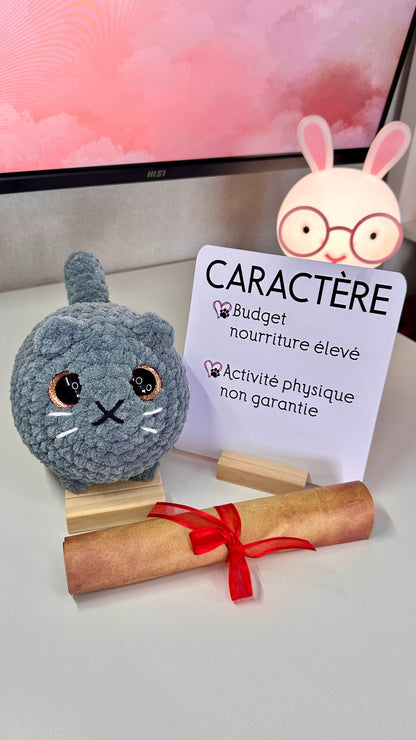 Les chats du refuge