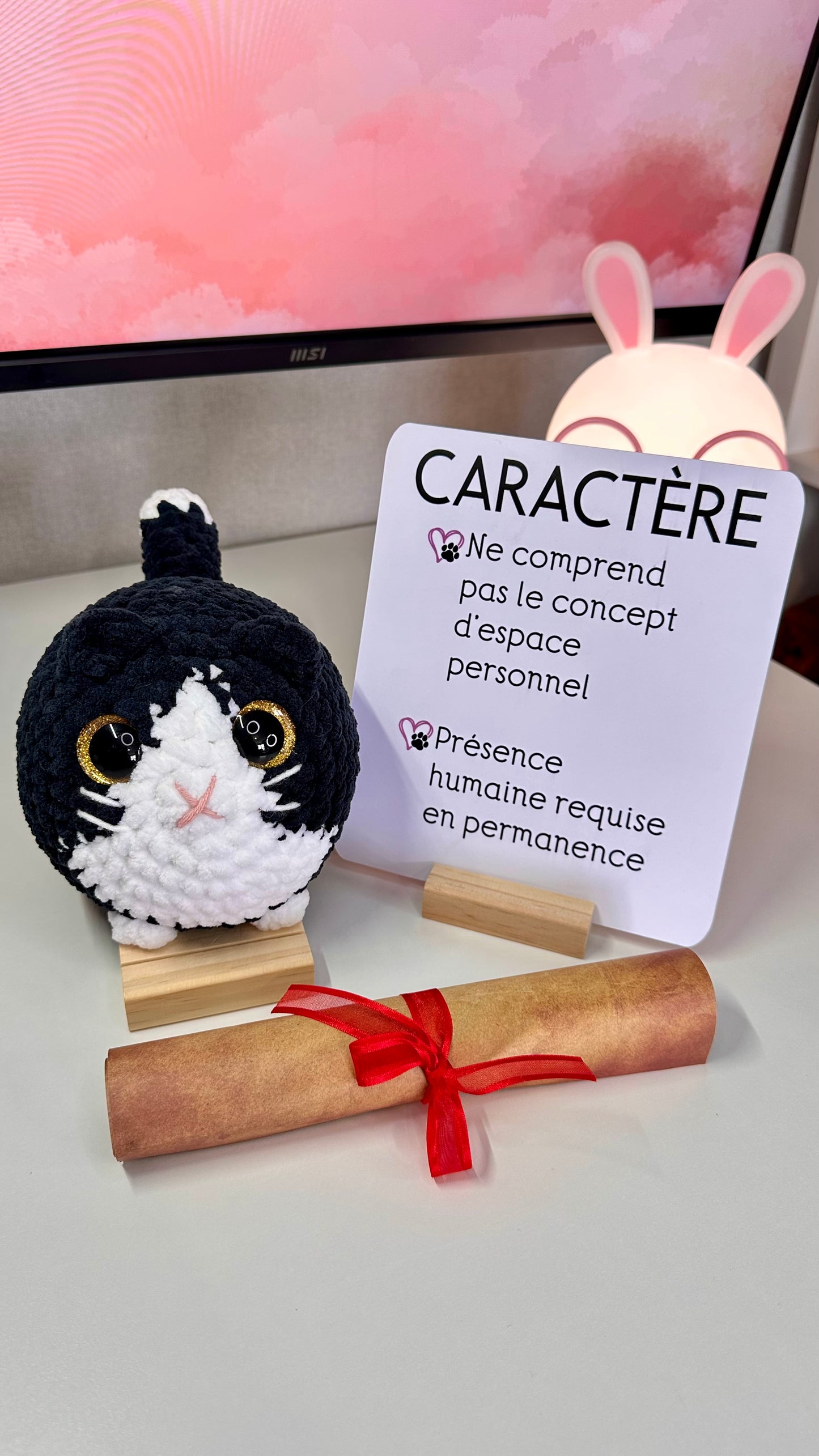 Les chats du refuge