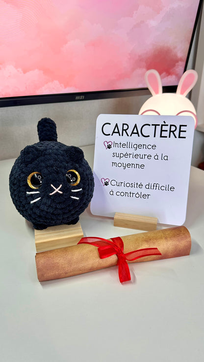 Les chats du refuge