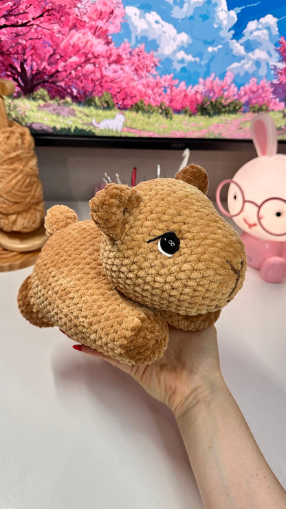Capybara allongé